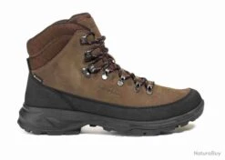 Chaussures AIGLE Bakke GTX Marron