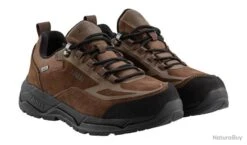 Chaussures Basses AIGLE Palka Low MTD